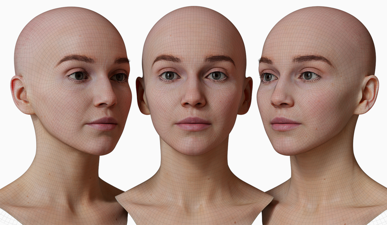 head model wireframe mesh